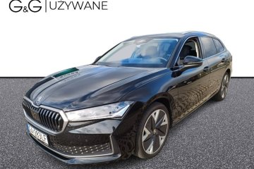 Masaż fotela, wentylacja, aktywny tempomat,